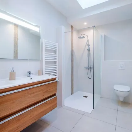 Bourg Avec Jardin Classé 2 étoiles Pour 6 Personnes * Biscarrosse