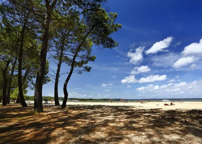 Villa Bourg Avec Jardin Classe 2 Etoiles Pour 6 Personnes Biscarrosse